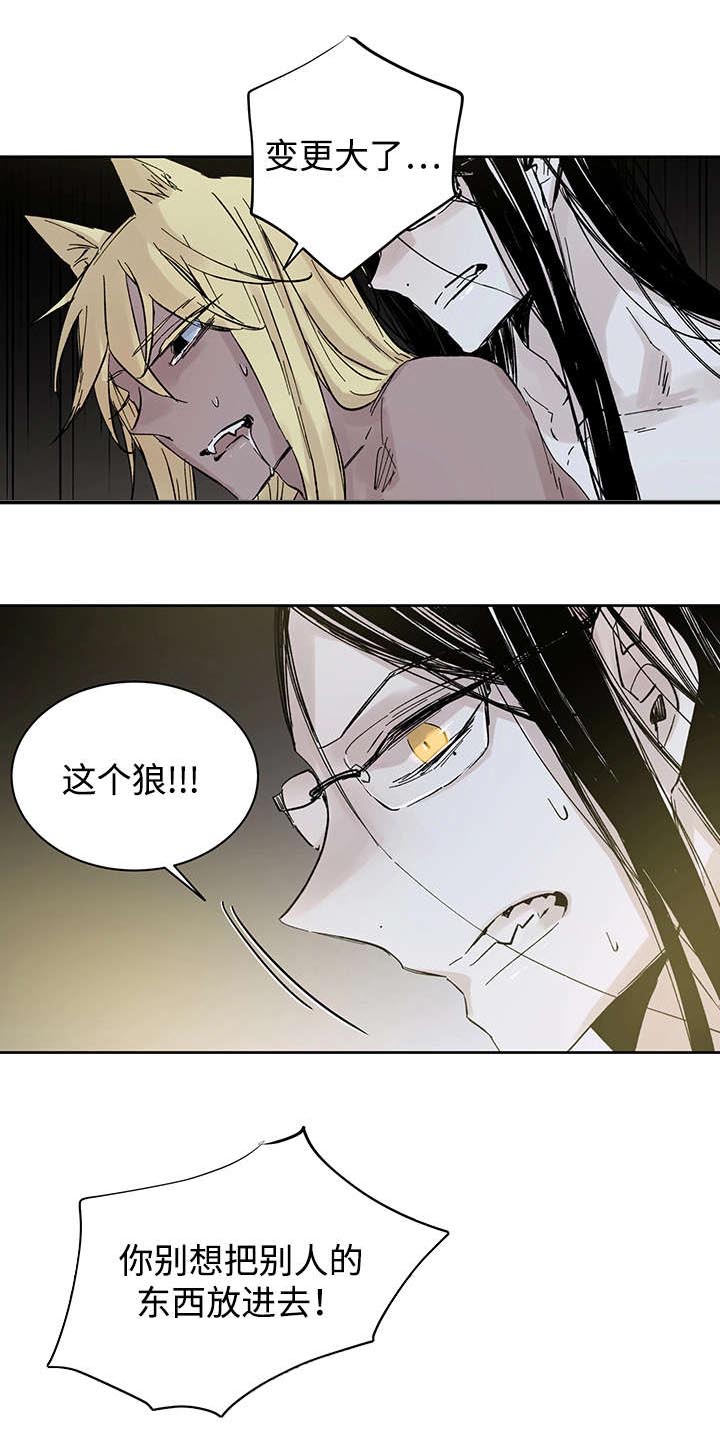 《巫师与狼》漫画最新章节第29章：没力气说话为止免费下拉式在线观看章节第【12】张图片