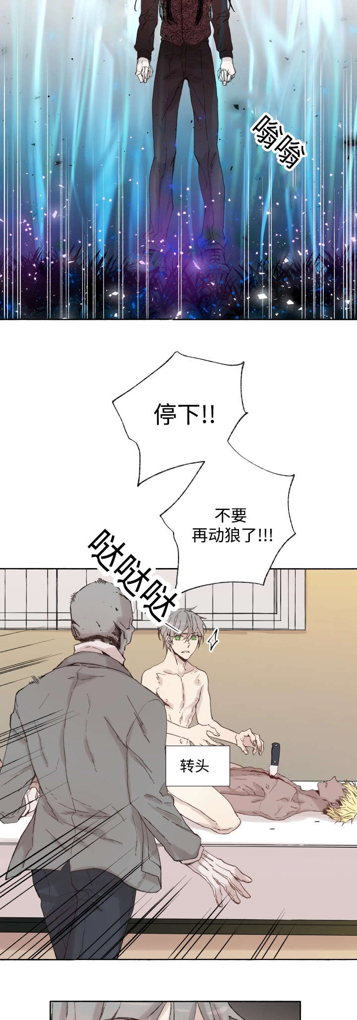 《巫师与狼》漫画最新章节第39章：消失掉吧免费下拉式在线观看章节第【11】张图片