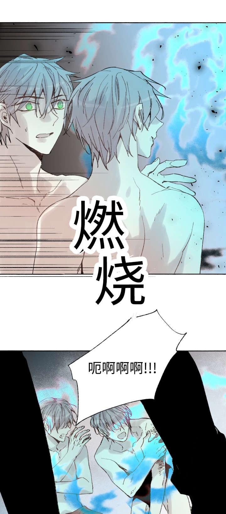 《巫师与狼》漫画最新章节第40章：童子参免费下拉式在线观看章节第【10】张图片