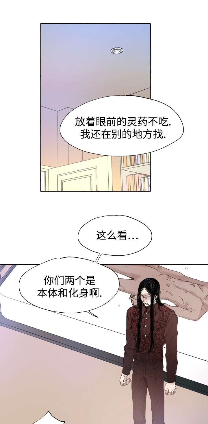 《巫师与狼》漫画最新章节第41章：为什么会这样免费下拉式在线观看章节第【11】张图片