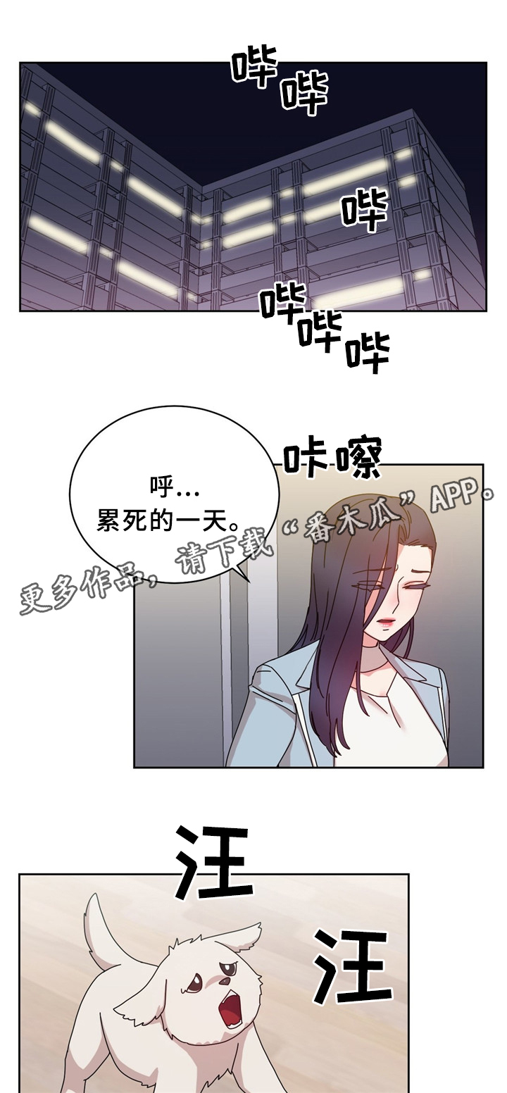 《缆绳》漫画最新章节第63章：累死的一天免费下拉式在线观看章节第【3】张图片