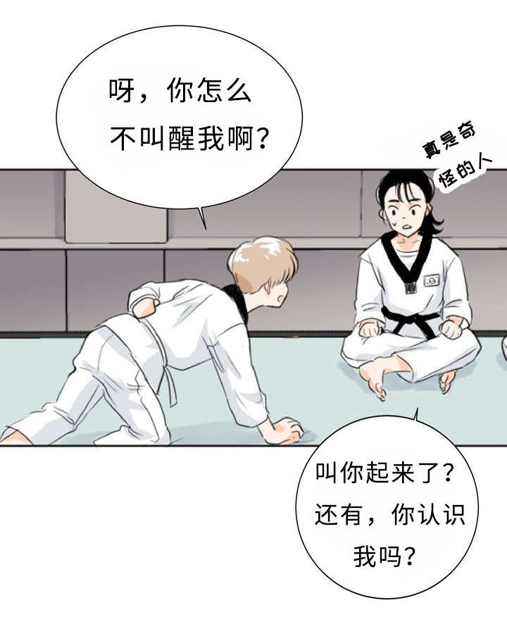 《相似形态》漫画最新章节第1章：目不斜视免费下拉式在线观看章节第【5】张图片