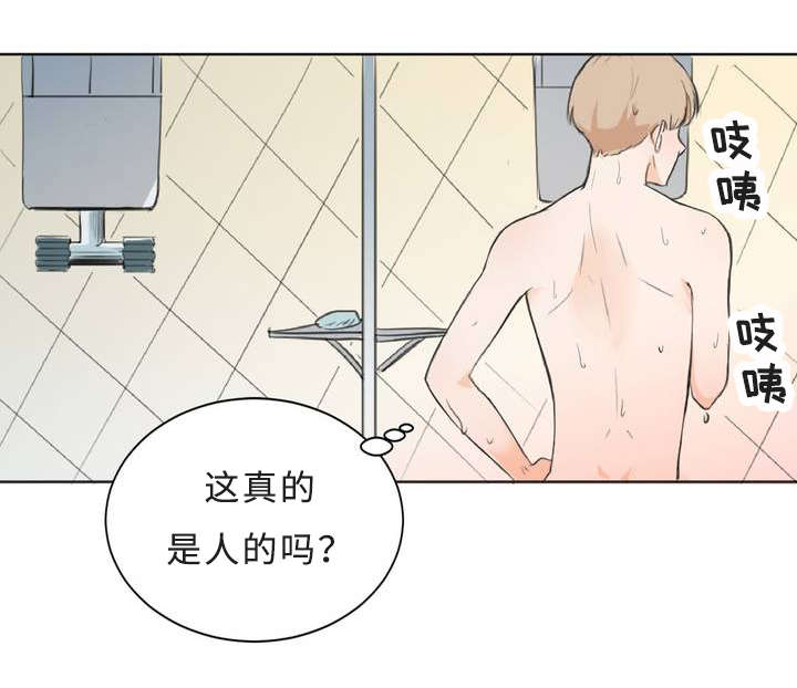 《相似形态》漫画最新章节第2章：偶遇免费下拉式在线观看章节第【6】张图片