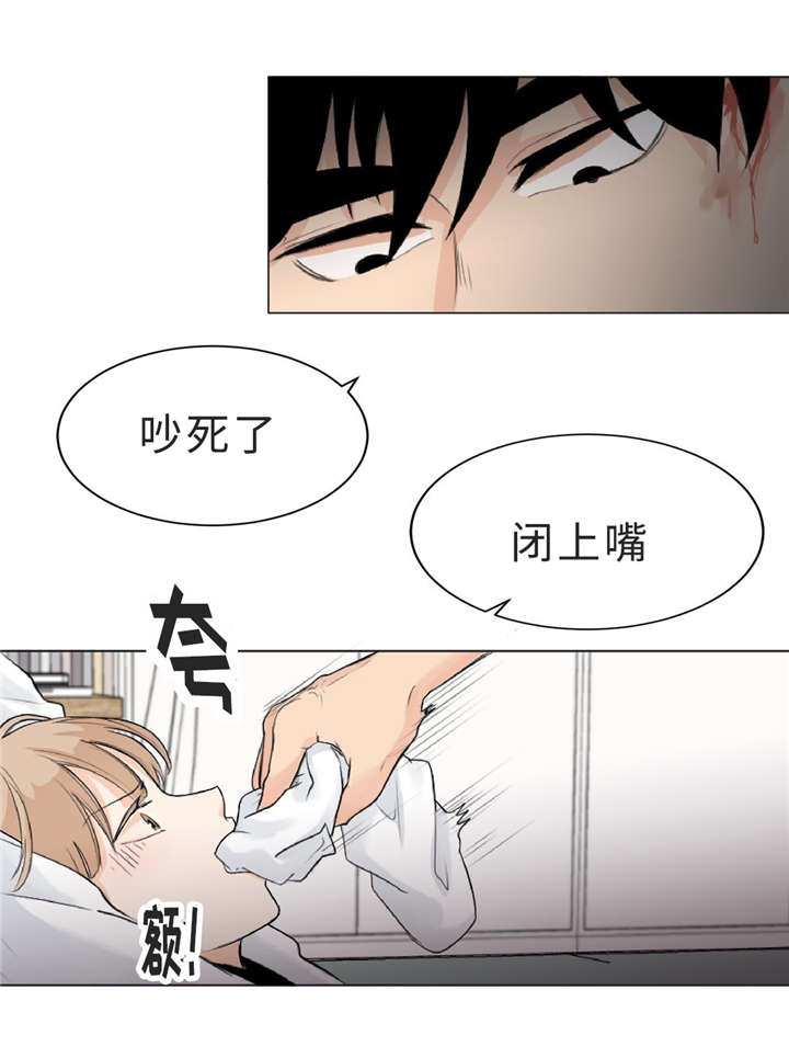 《相似形态》漫画最新章节第11章：疯子免费下拉式在线观看章节第【21】张图片