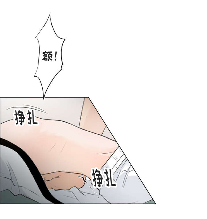 《相似形态》漫画最新章节第11章：疯子免费下拉式在线观看章节第【20】张图片