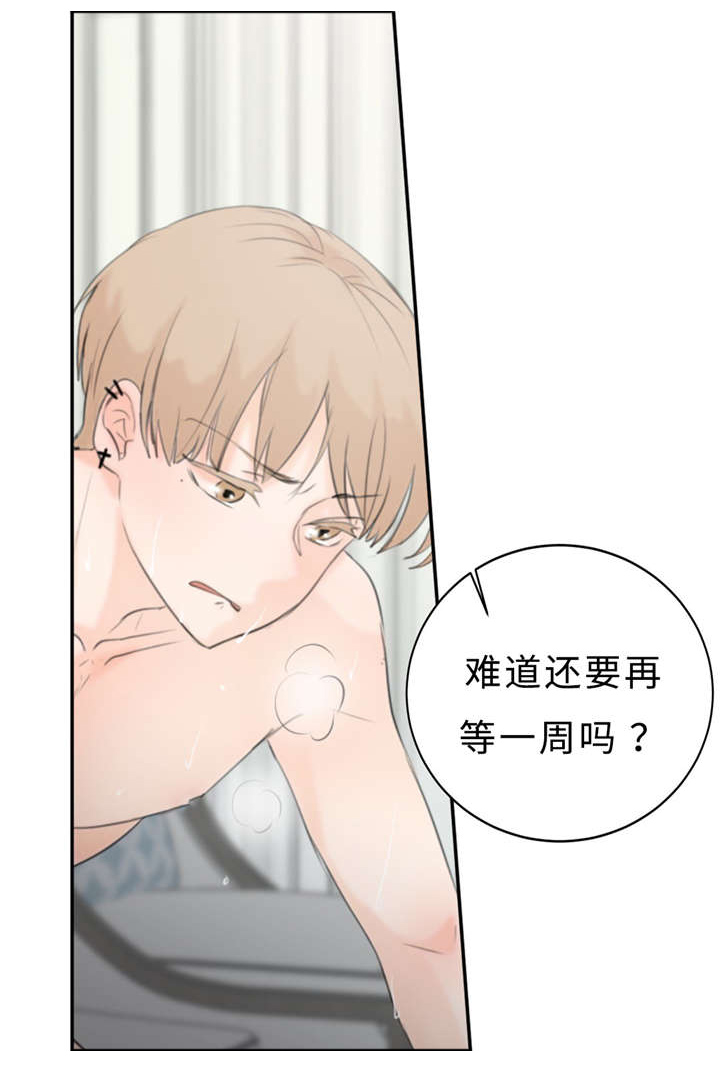 《相似形态》漫画最新章节第19章：讨厌的人免费下拉式在线观看章节第【17】张图片