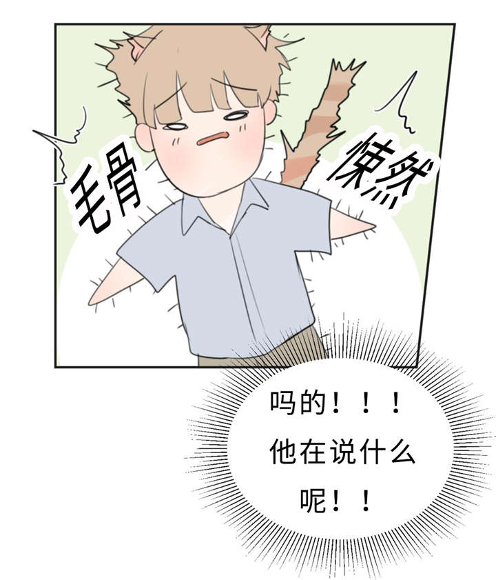 《相似形态》漫画最新章节第23章：可爱免费下拉式在线观看章节第【9】张图片