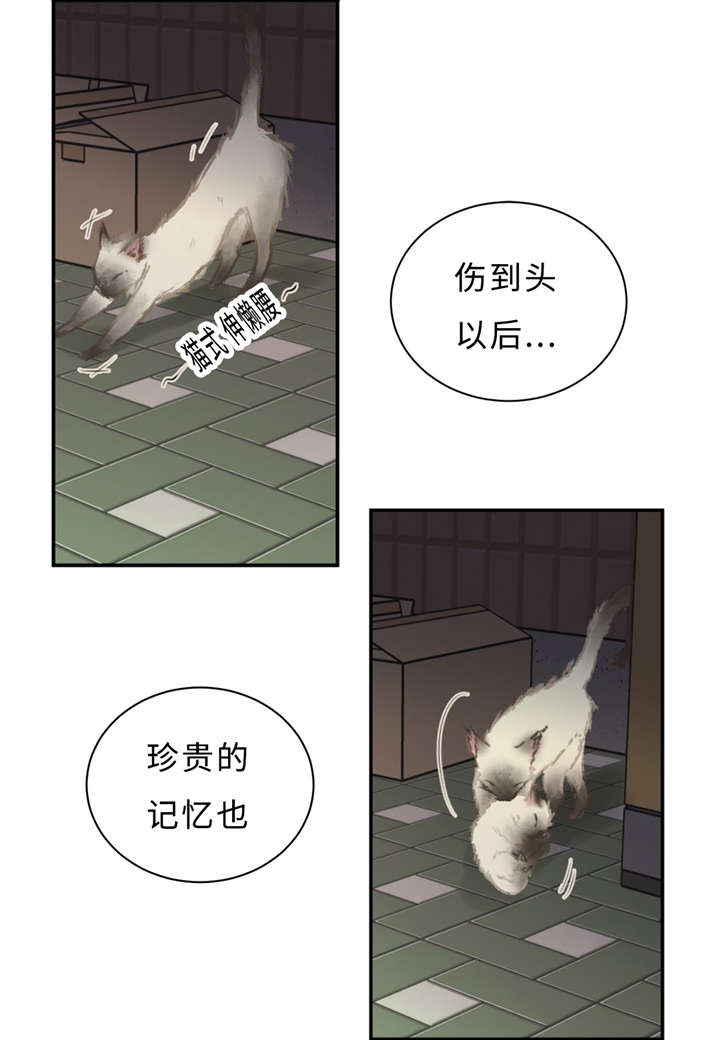 《相似形态》漫画最新章节第29章：记不起免费下拉式在线观看章节第【2】张图片