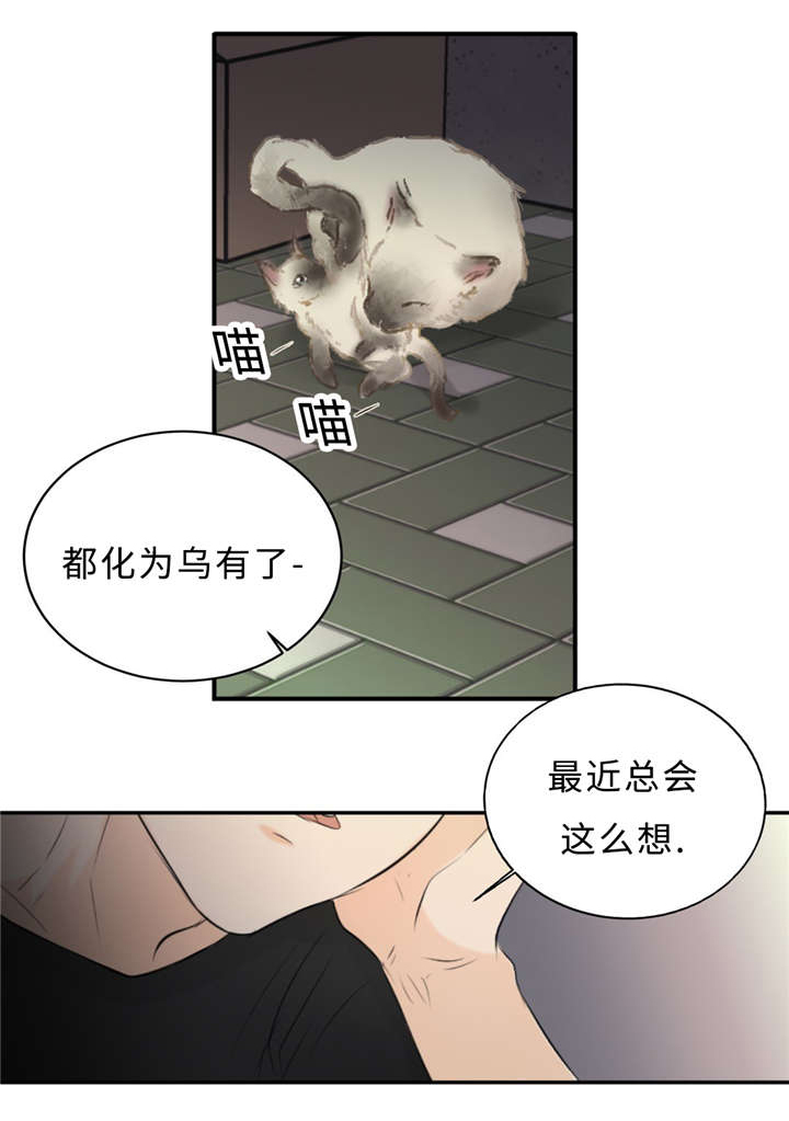 《相似形态》漫画最新章节第29章：记不起免费下拉式在线观看章节第【1】张图片