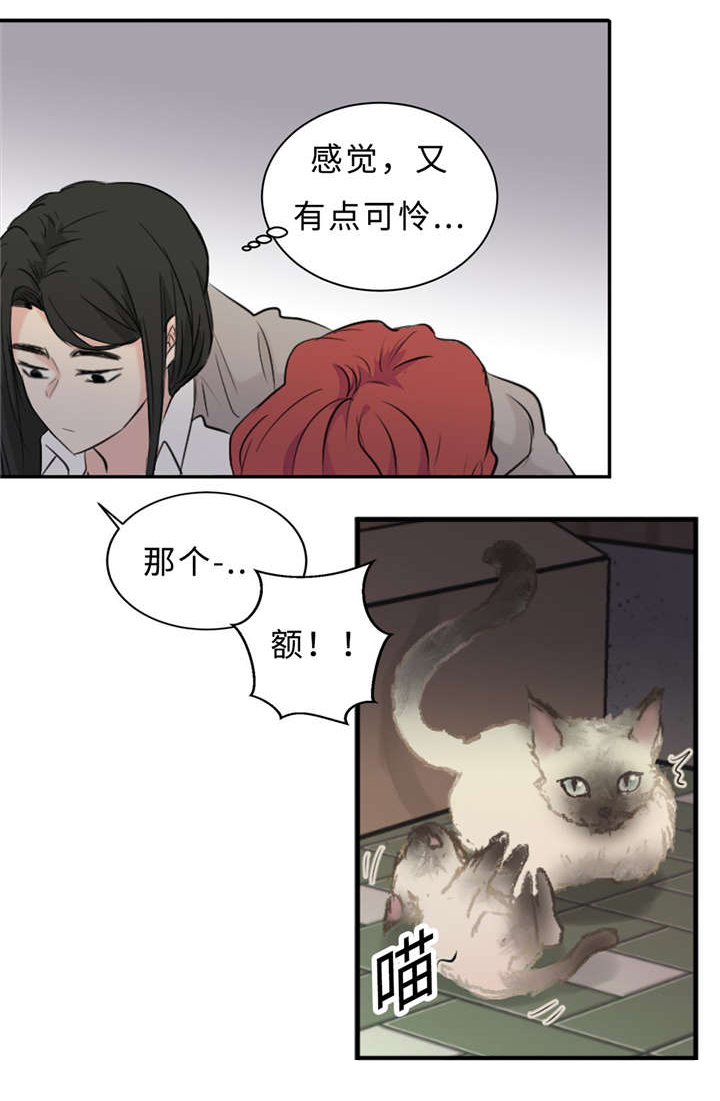 《相似形态》漫画最新章节第30章：不喜欢你免费下拉式在线观看章节第【34】张图片