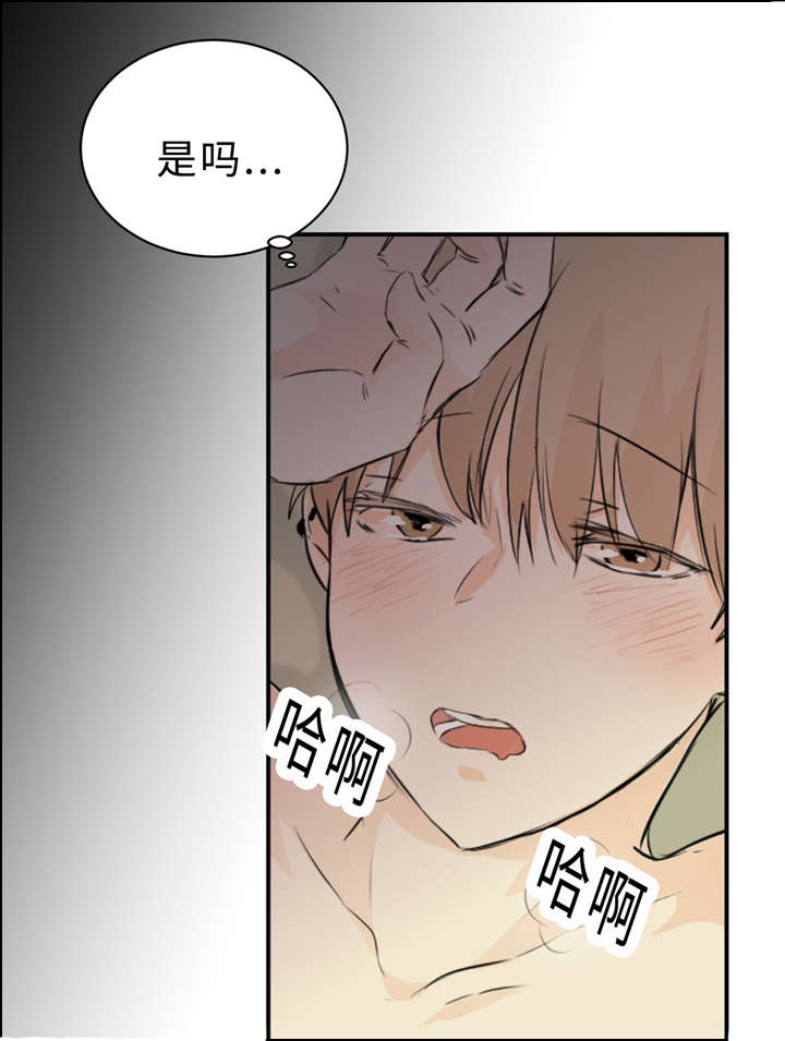 《相似形态》漫画最新章节第30章：不喜欢你免费下拉式在线观看章节第【6】张图片