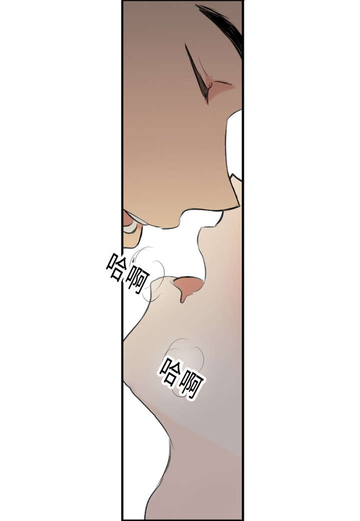 《相似形态》漫画最新章节第30章：不喜欢你免费下拉式在线观看章节第【3】张图片