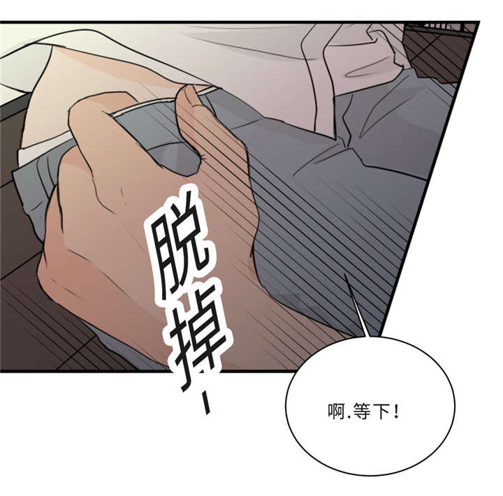 《相似形态》漫画最新章节第33章：道歉免费下拉式在线观看章节第【17】张图片