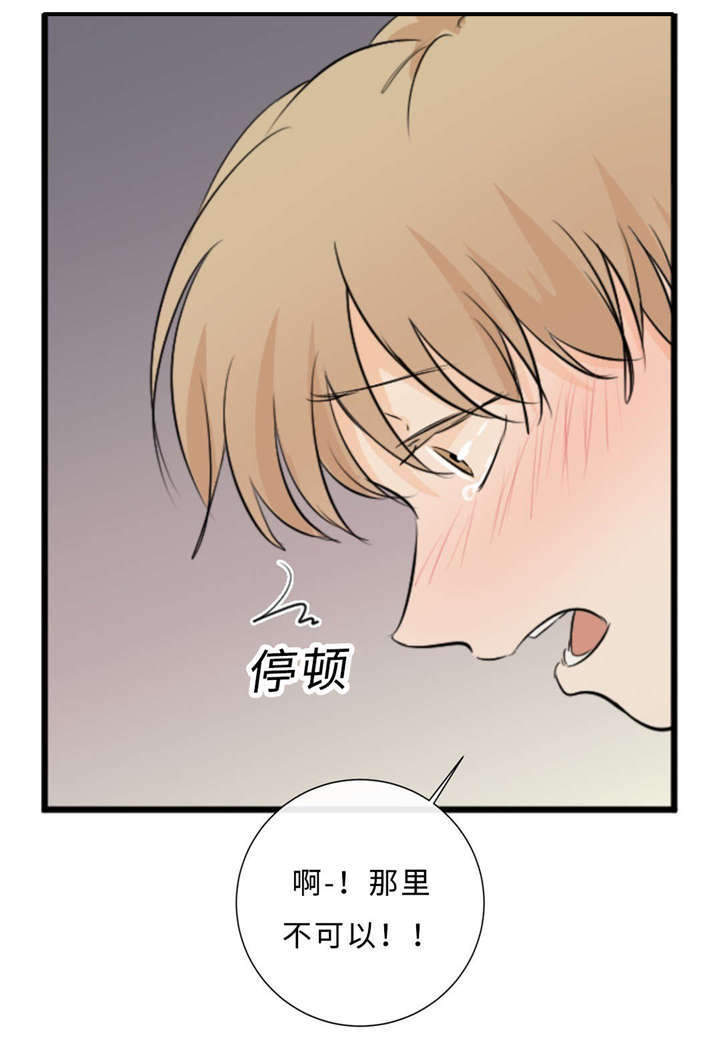 《相似形态》漫画最新章节第42章：竞争免费下拉式在线观看章节第【7】张图片