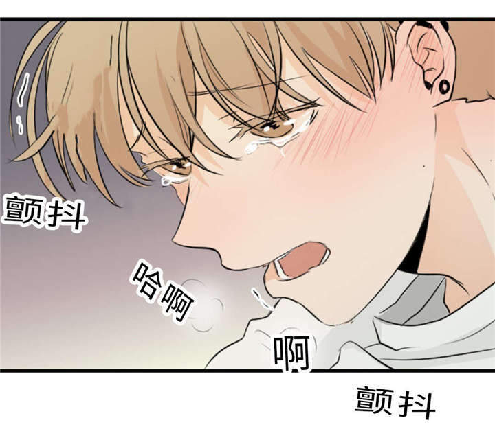 《相似形态》漫画最新章节第42章：竞争免费下拉式在线观看章节第【5】张图片