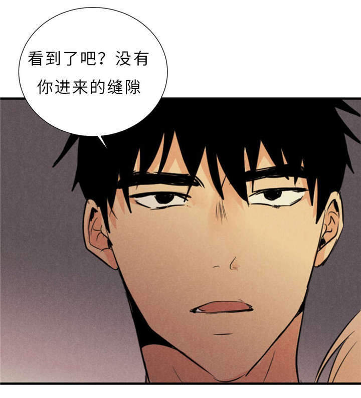 《相似形态》漫画最新章节第43章：一拳免费下拉式在线观看章节第【6】张图片