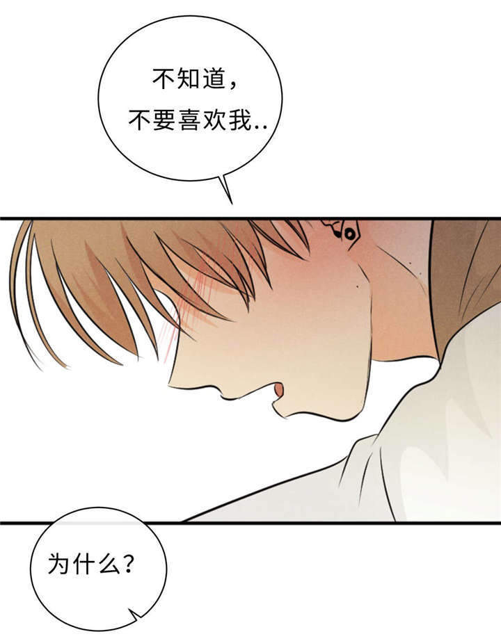 《相似形态》漫画最新章节第44章：不欢而散免费下拉式在线观看章节第【4】张图片