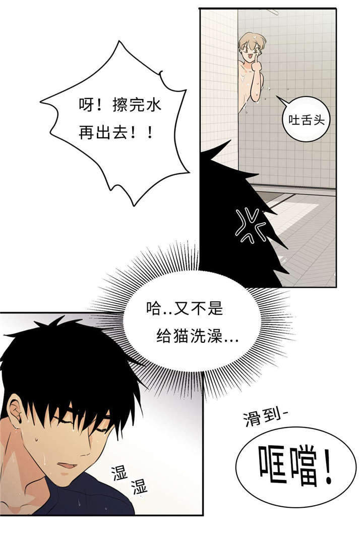 《相似形态》漫画最新章节第48章：浴室免费下拉式在线观看章节第【12】张图片