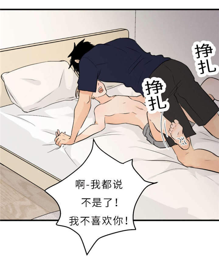 《相似形态》漫画最新章节第49章：要结束什么？免费下拉式在线观看章节第【27】张图片