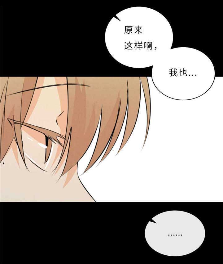 《相似形态》漫画最新章节第50章：过往免费下拉式在线观看章节第【17】张图片