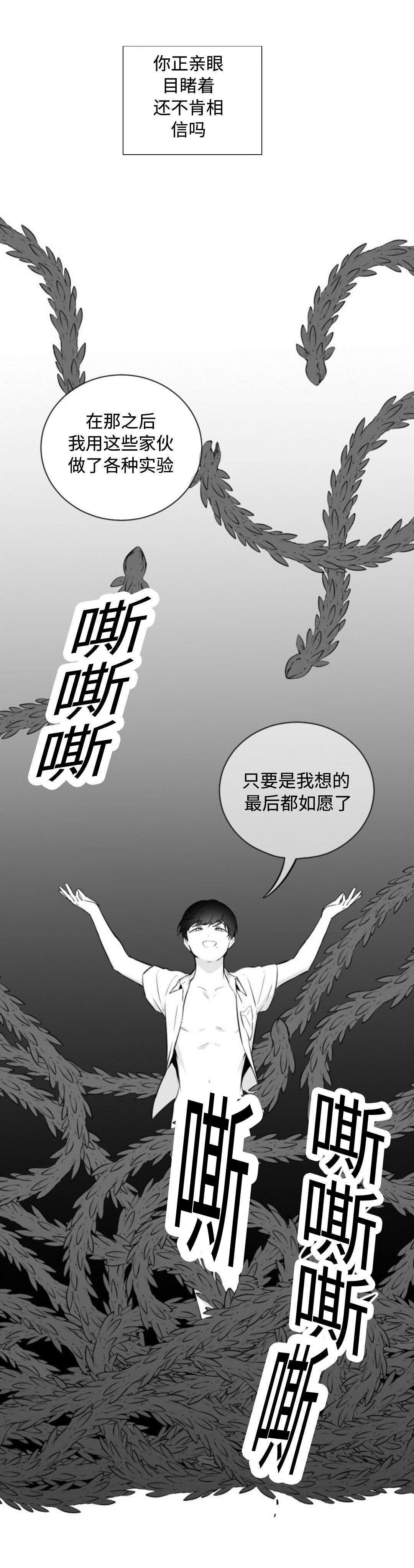 《爱书》漫画最新章节第36章：喜欢自由免费下拉式在线观看章节第【5】张图片