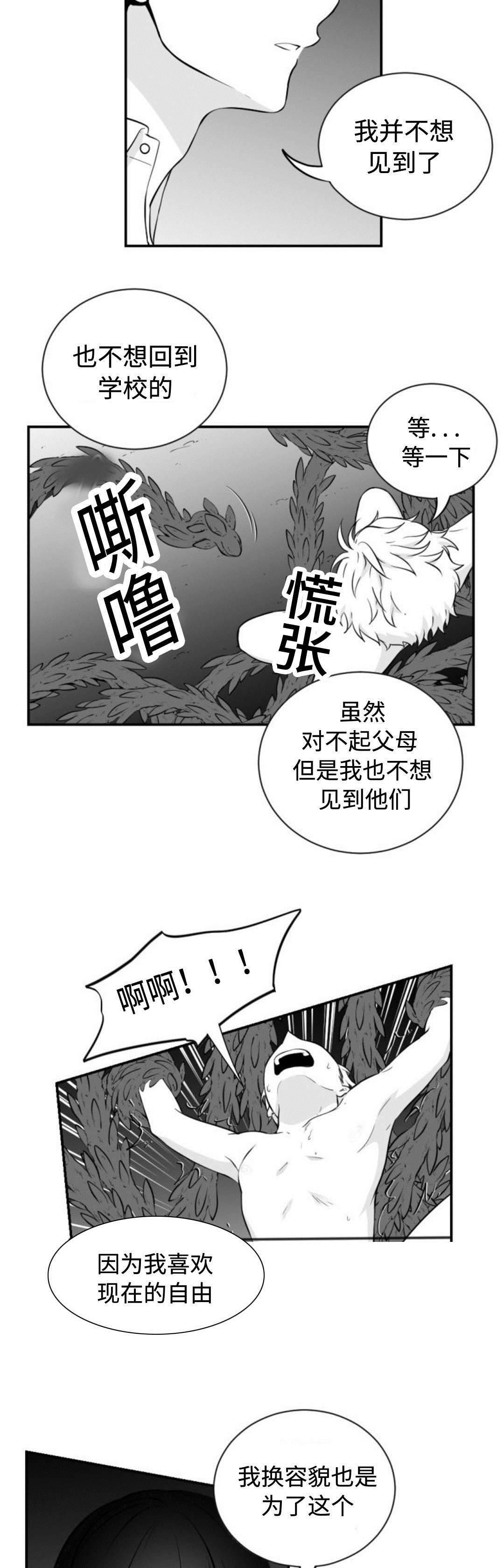 《爱书》漫画最新章节第36章：喜欢自由免费下拉式在线观看章节第【3】张图片