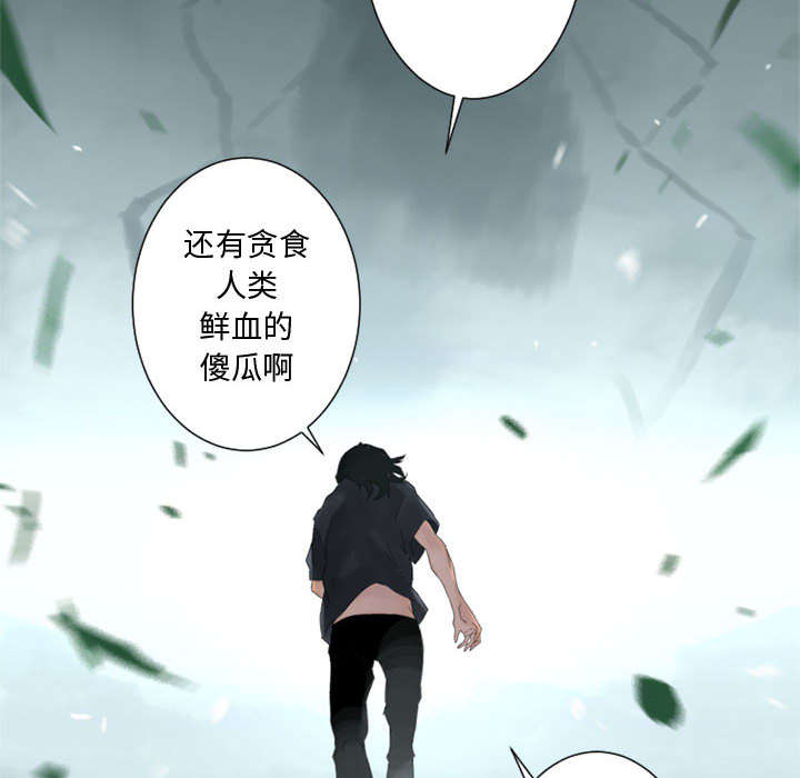 《苍兽大人》漫画最新章节第3章：成为了召唤兽免费下拉式在线观看章节第【14】张图片