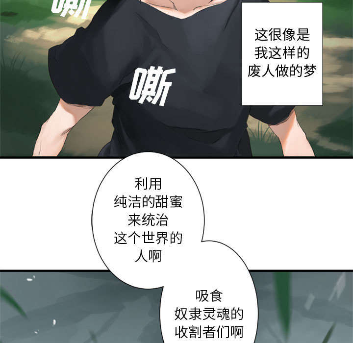 《苍兽大人》漫画最新章节第3章：成为了召唤兽免费下拉式在线观看章节第【15】张图片