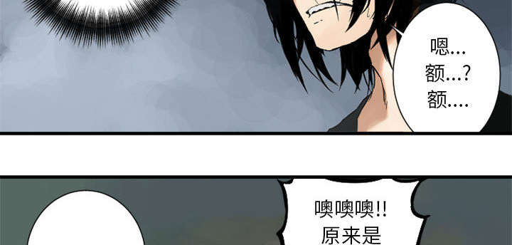 《苍兽大人》漫画最新章节第3章：成为了召唤兽免费下拉式在线观看章节第【29】张图片