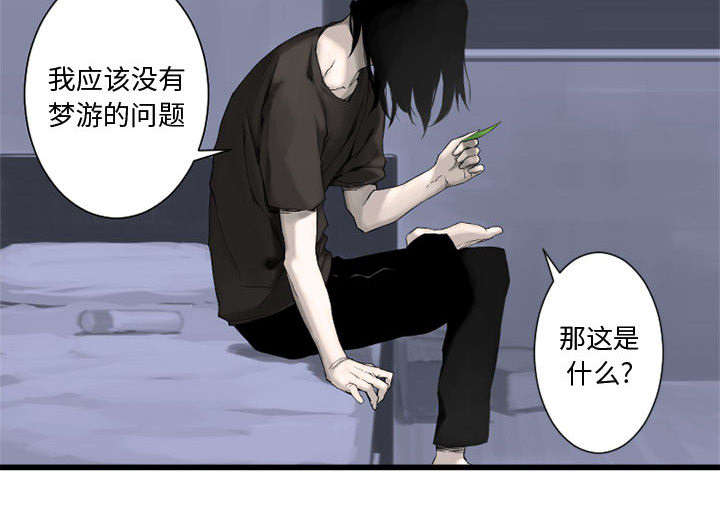 《苍兽大人》漫画最新章节第5章：脚上的叶片免费下拉式在线观看章节第【1】张图片