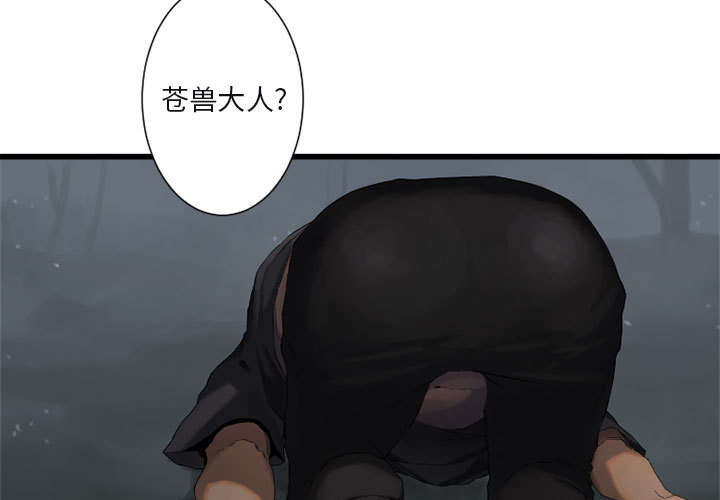 《苍兽大人》漫画最新章节第12章：不堪一击免费下拉式在线观看章节第【16】张图片