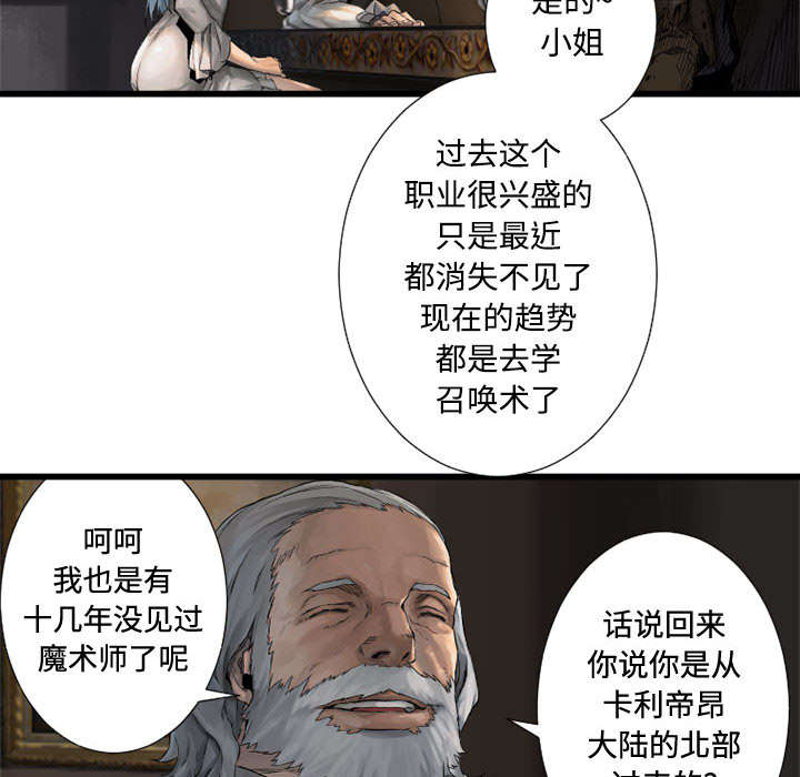 《苍兽大人》漫画最新章节第22章：到来的魔法师免费下拉式在线观看章节第【3】张图片