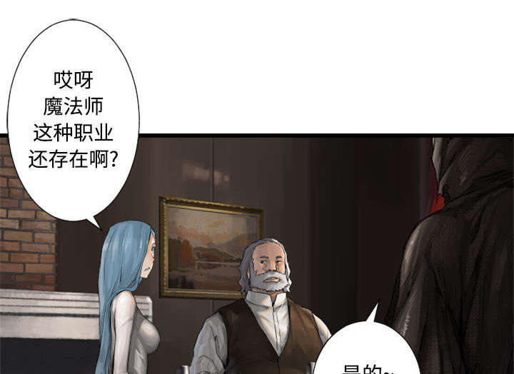 《苍兽大人》漫画最新章节第22章：到来的魔法师免费下拉式在线观看章节第【4】张图片