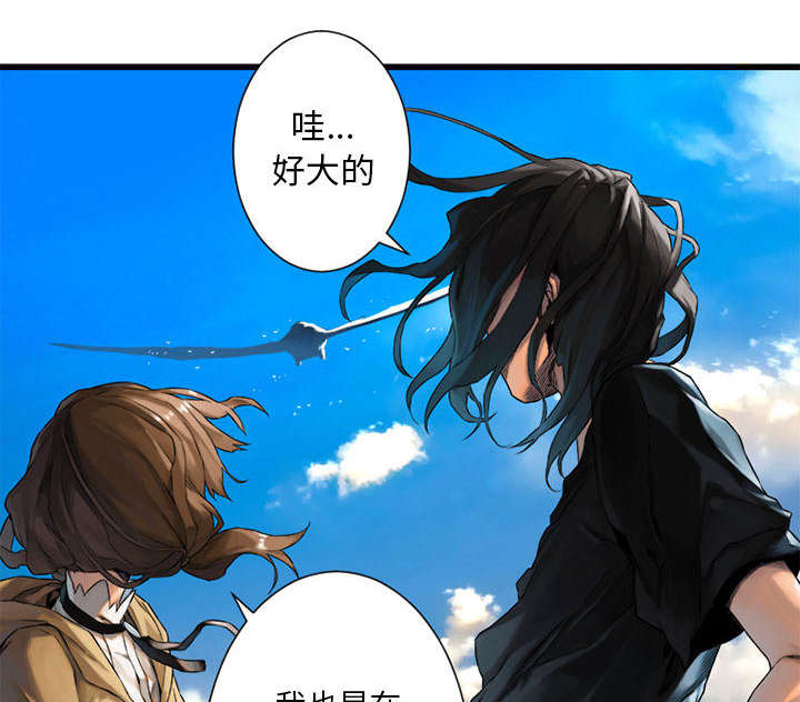 《苍兽大人》漫画最新章节第45章：前途无岸免费下拉式在线观看章节第【35】张图片