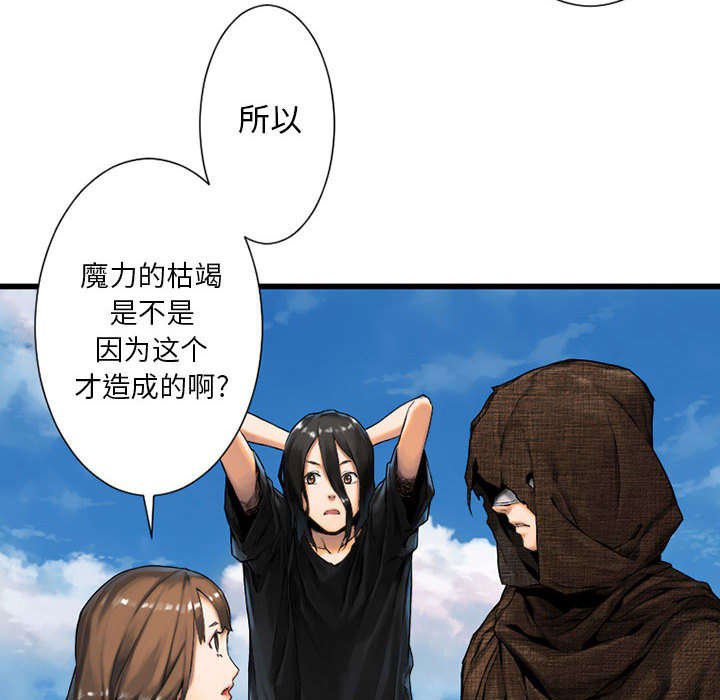 《苍兽大人》漫画最新章节第46章：面圣免费下拉式在线观看章节第【15】张图片