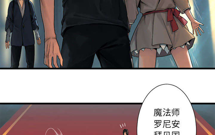 《苍兽大人》漫画最新章节第46章：面圣免费下拉式在线观看章节第【3】张图片