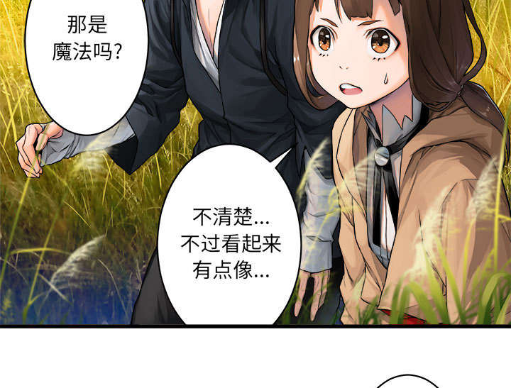 《苍兽大人》漫画最新章节第53章：高手免费下拉式在线观看章节第【4】张图片