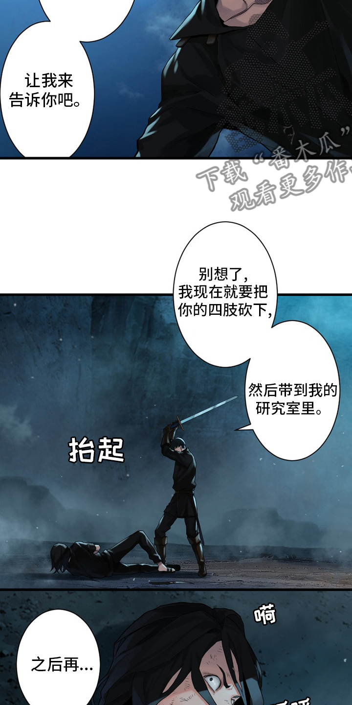 《苍兽大人》漫画最新章节第94章：研究日记免费下拉式在线观看章节第【13】张图片