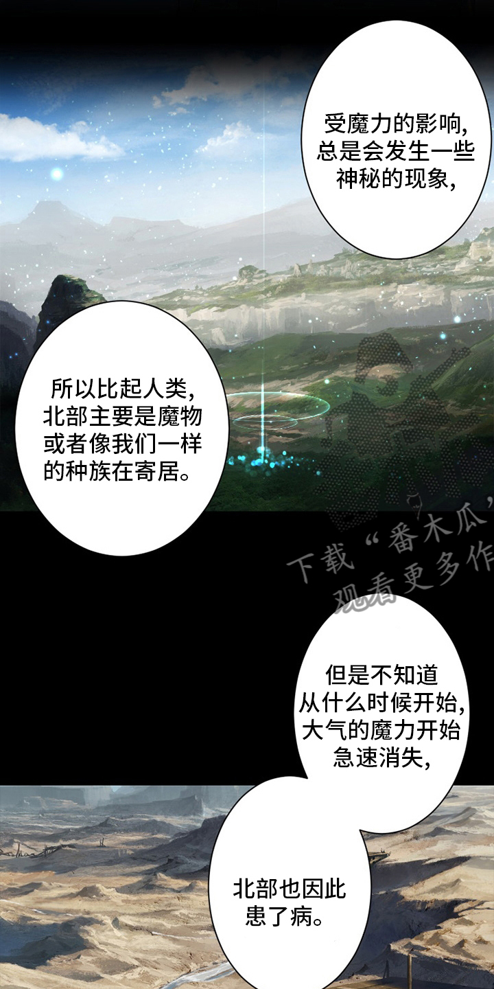 《苍兽大人》漫画最新章节第132章：谎言免费下拉式在线观看章节第【14】张图片