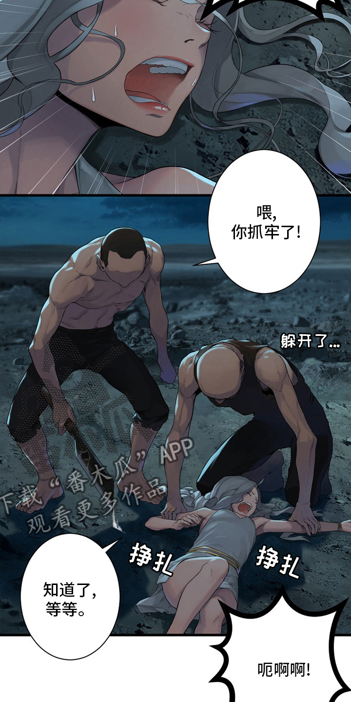 《苍兽大人》漫画最新章节第134章：规矩免费下拉式在线观看章节第【19】张图片