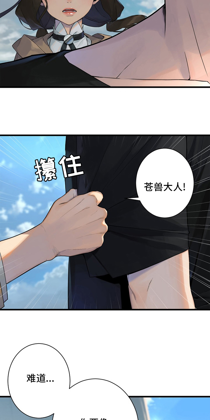 《苍兽大人》漫画最新章节第178章：核心免费下拉式在线观看章节第【4】张图片