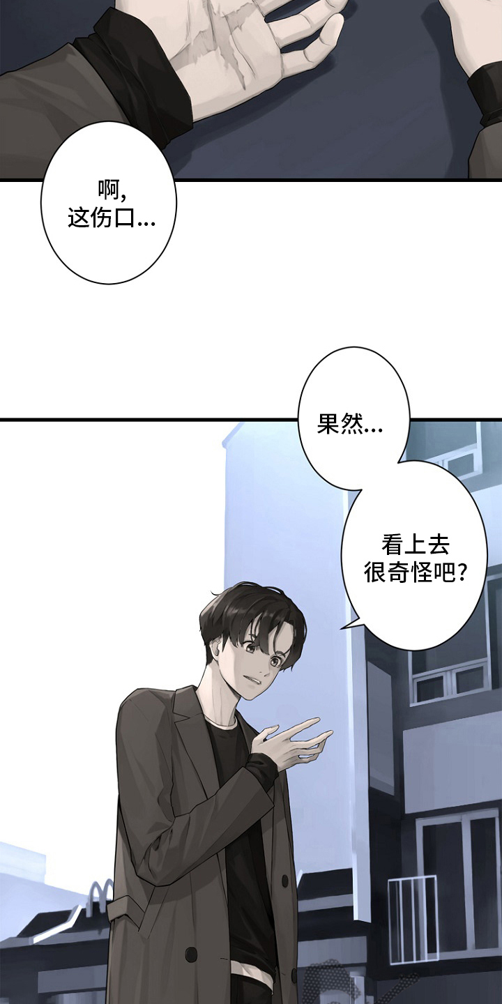 《苍兽大人》漫画最新章节第184章：过去了免费下拉式在线观看章节第【9】张图片