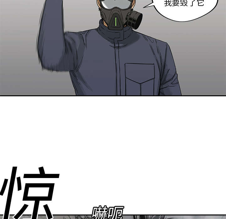 《乱世邮差》漫画最新章节第50章：找到免费下拉式在线观看章节第【24】张图片