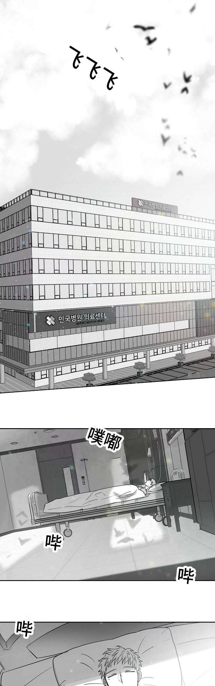 《柳云鹤》漫画最新章节第46章：加冕为王免费下拉式在线观看章节第【5】张图片