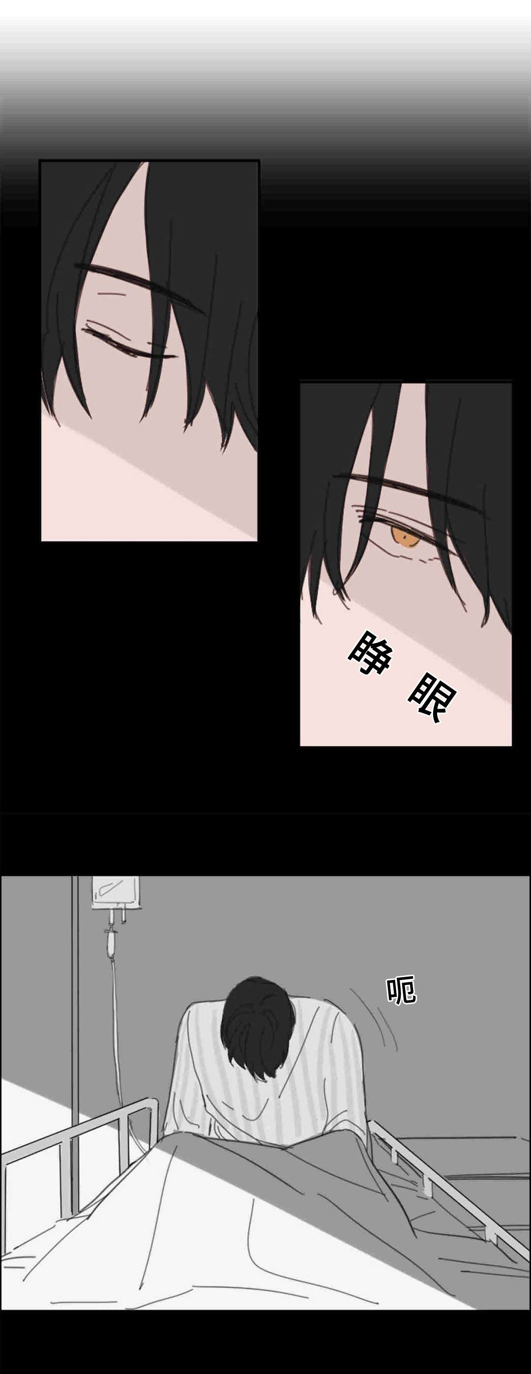 《获胜秘方》漫画最新章节第18章：梦境免费下拉式在线观看章节第【5】张图片