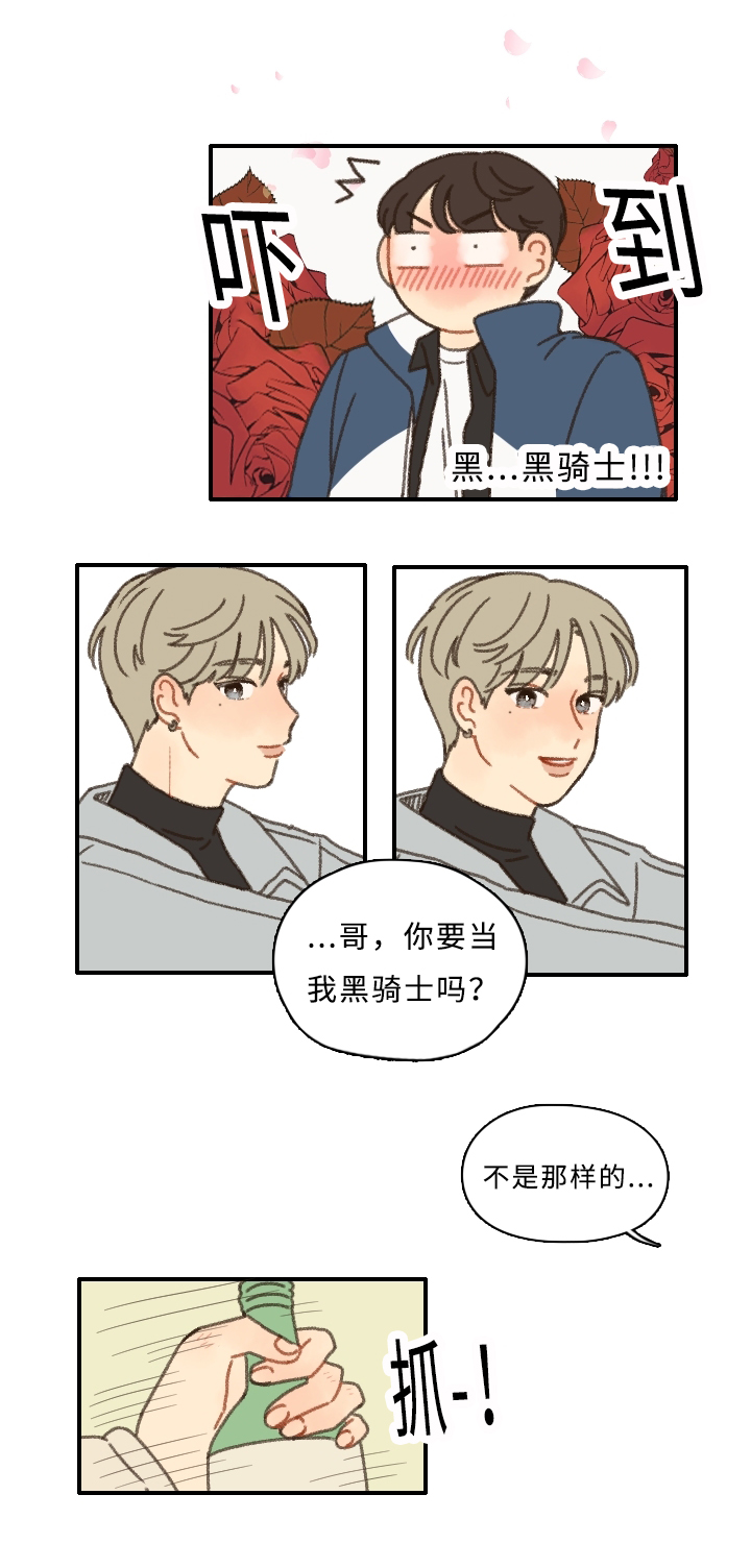 《勿忘爱你》漫画最新章节第4章：黑骑士免费下拉式在线观看章节第【24】张图片