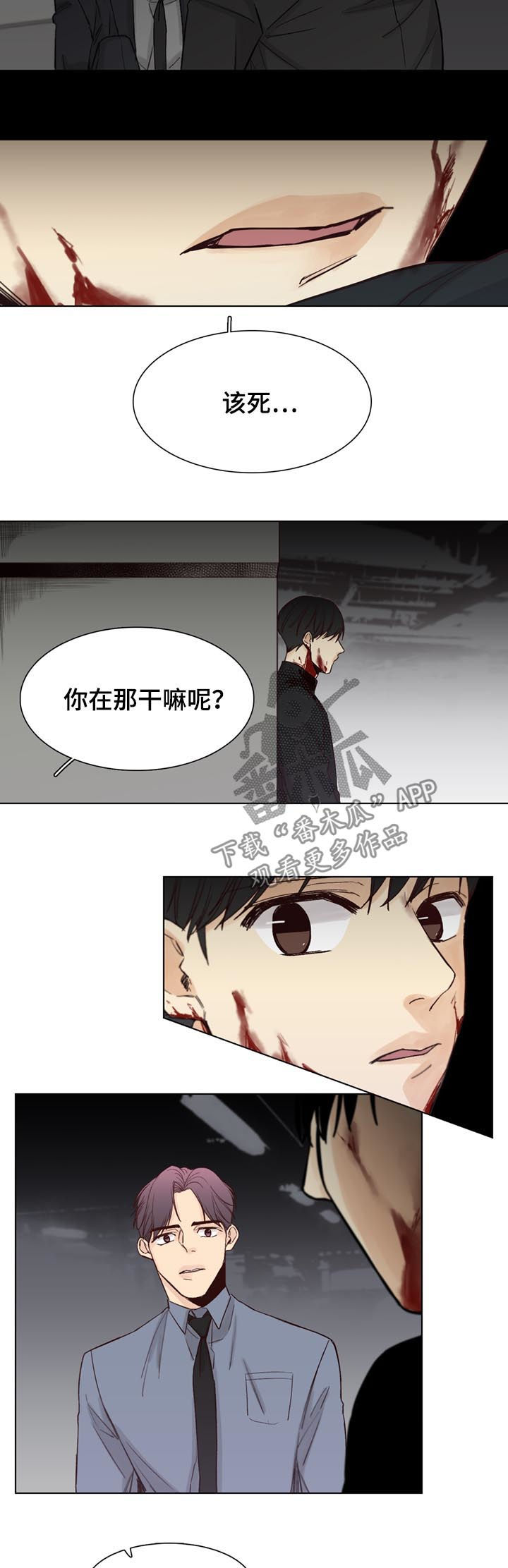 《狐疑》漫画最新章节第62章：【第二季】谚语免费下拉式在线观看章节第【8】张图片