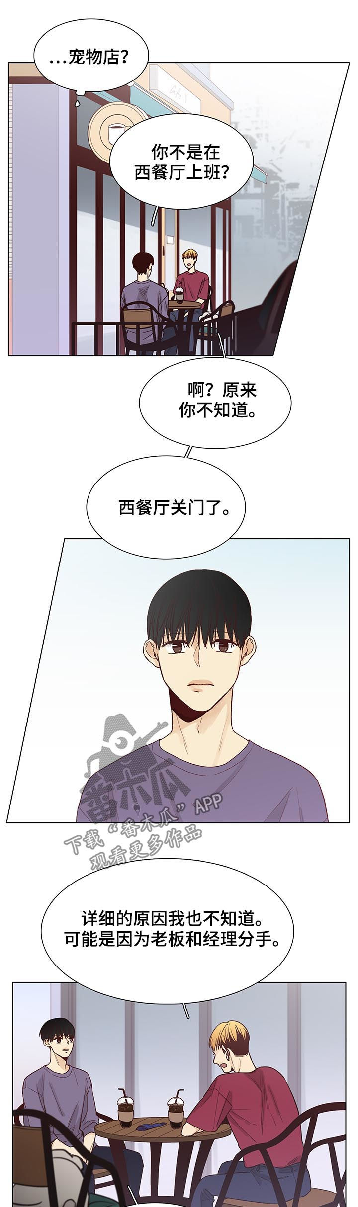 《狐疑》漫画最新章节第95章：后记：和平切幸福免费下拉式在线观看章节第【2】张图片