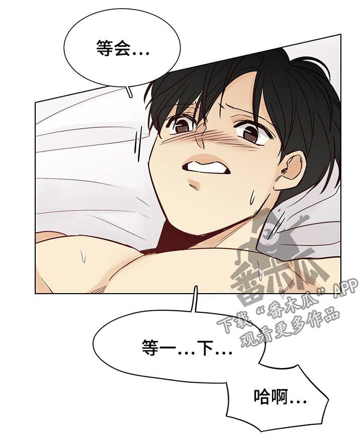 《狐疑》漫画最新章节第97章：后记：出身之谜免费下拉式在线观看章节第【3】张图片