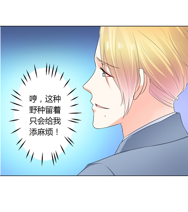 《致命宠妻：总裁纳命来！》漫画最新章节第112章：放弃家族继承权免费下拉式在线观看章节第【5】张图片